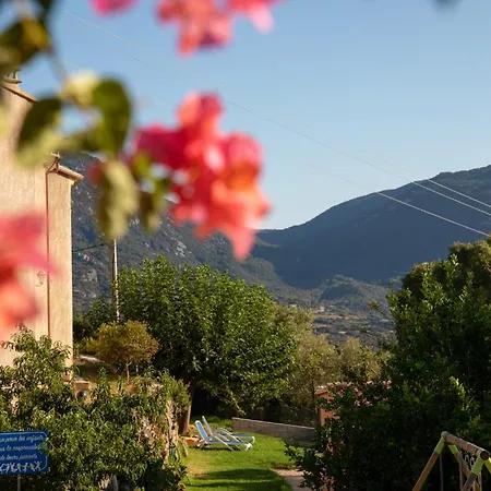 Hébergement de vacances Résidence Assuliu