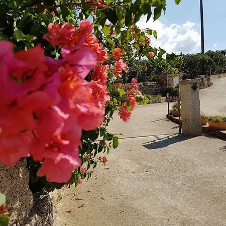 Assuliu Feriehus Propriano (Corsica)