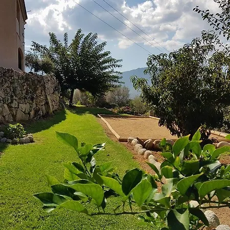 Assuliu Prázdninový dům