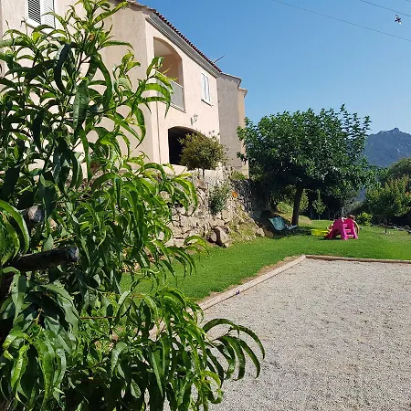 Prázdninový dům Assuliu Propriano (Corsica)