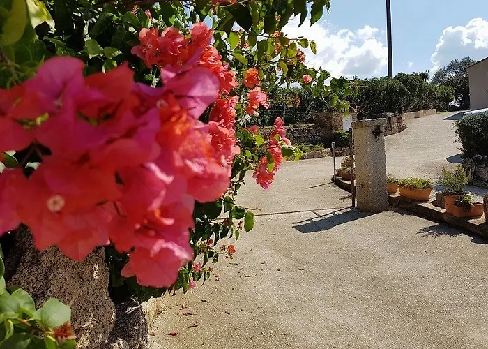 Assuliu Casa de Férias Propriano (Corsica)